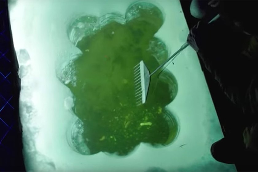 The Meateater Goes Spearfishing in Alaska Wide Open Spaces
