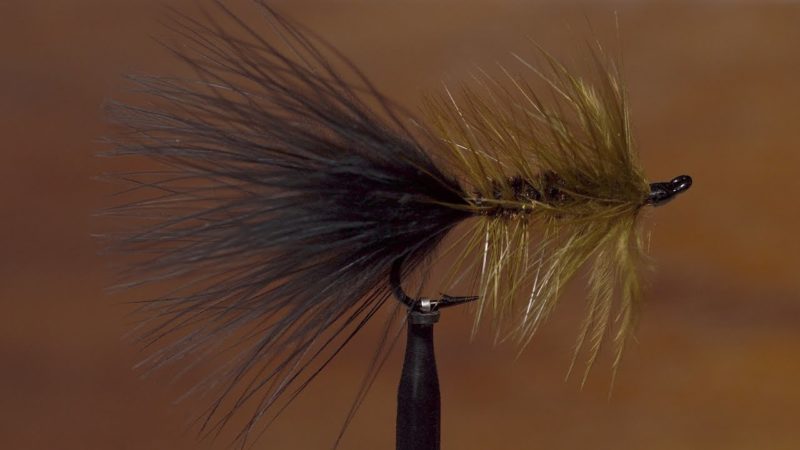 trout flies