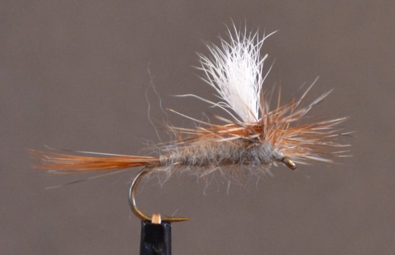 trout flies