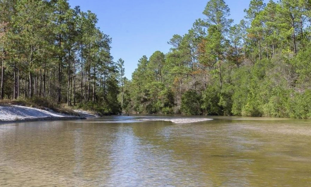 timber creek lodge