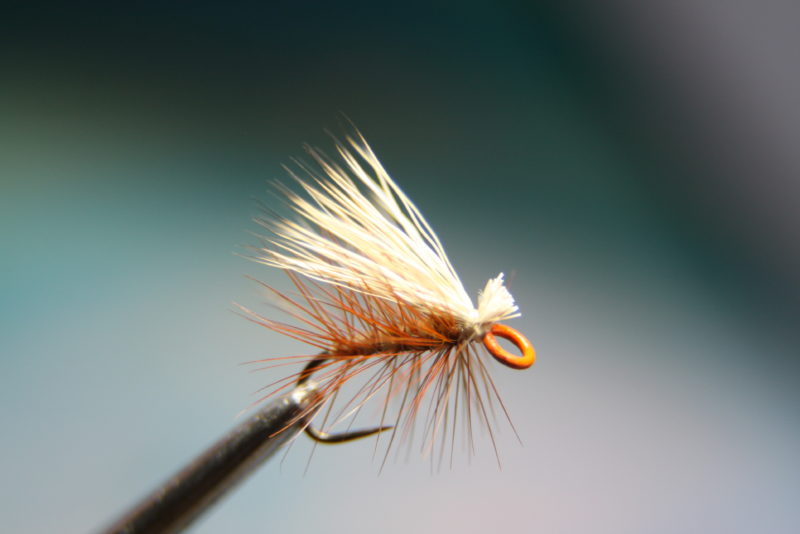 trout flies