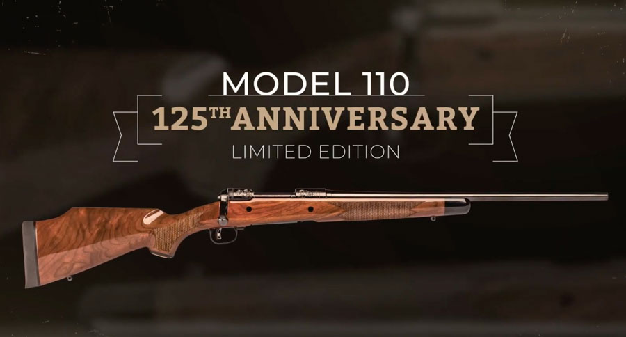 savage 125th Anniversary Edition Model 110