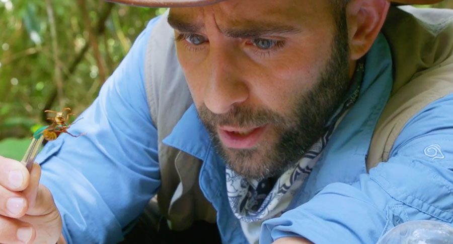 Video: Coyote Peterson Just Entered the 'Sting Zone' with an