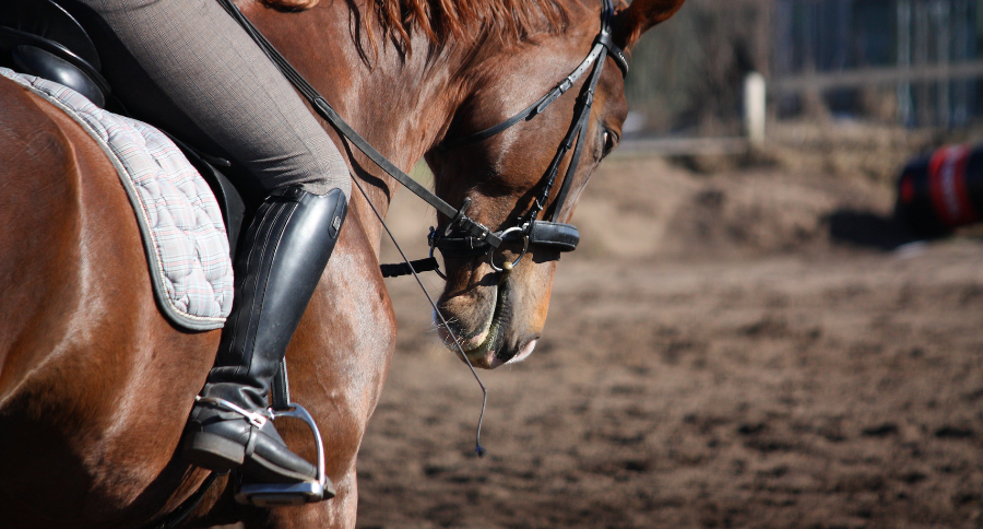 The Top 5 Equestrian Gear Trends We're Watching This Year