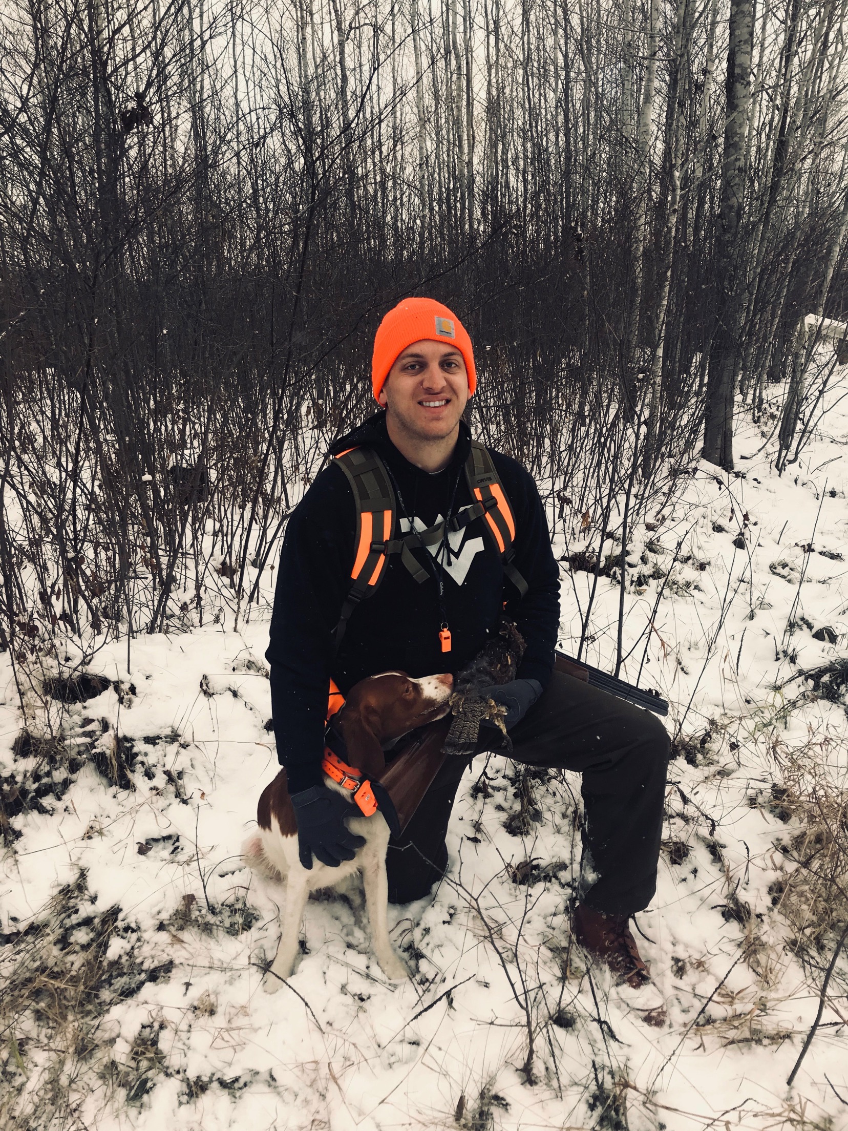 upland bird hunting