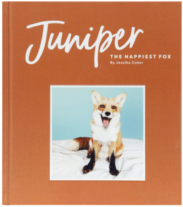 Juniper the Fox