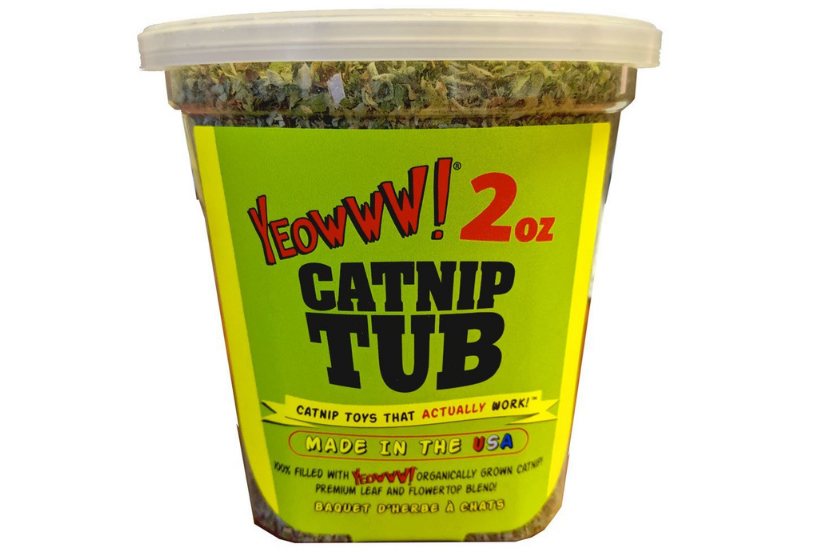 best catnip