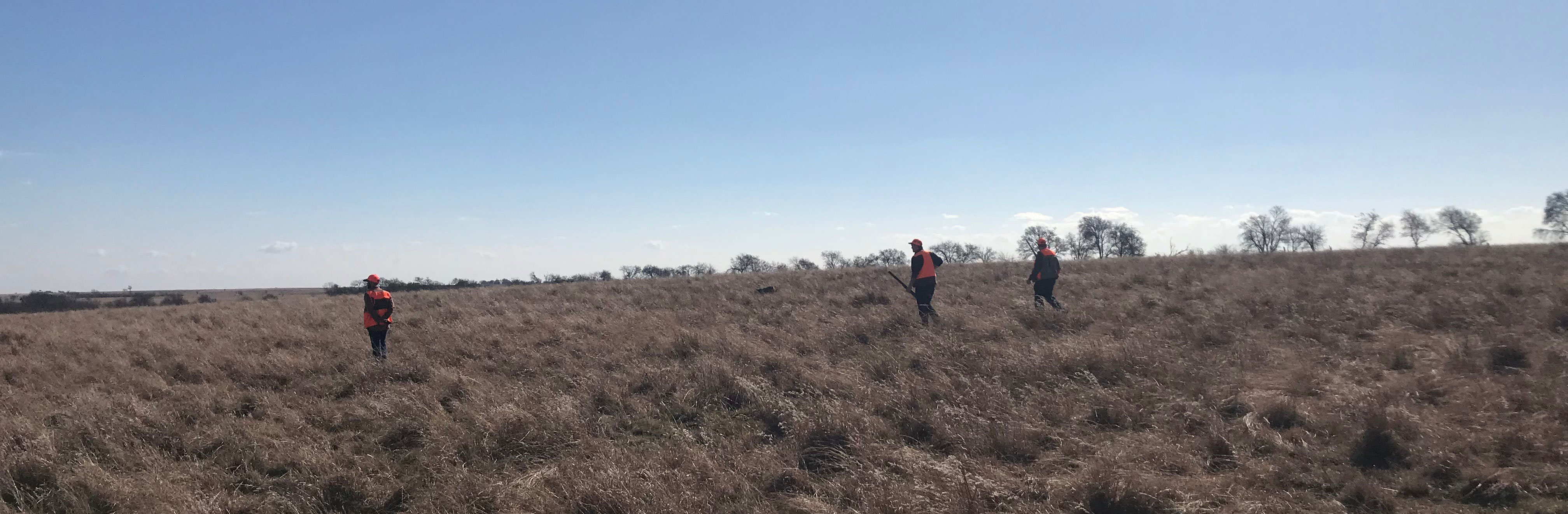 upland bird hunting