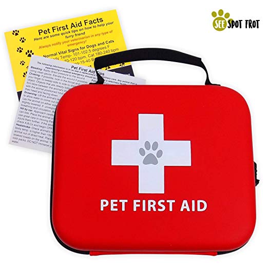 First Aid Kit