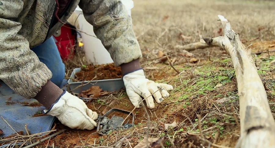 public land trapping