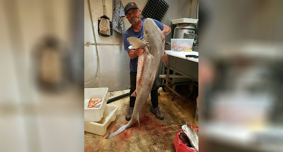 Australian fishermen jailed