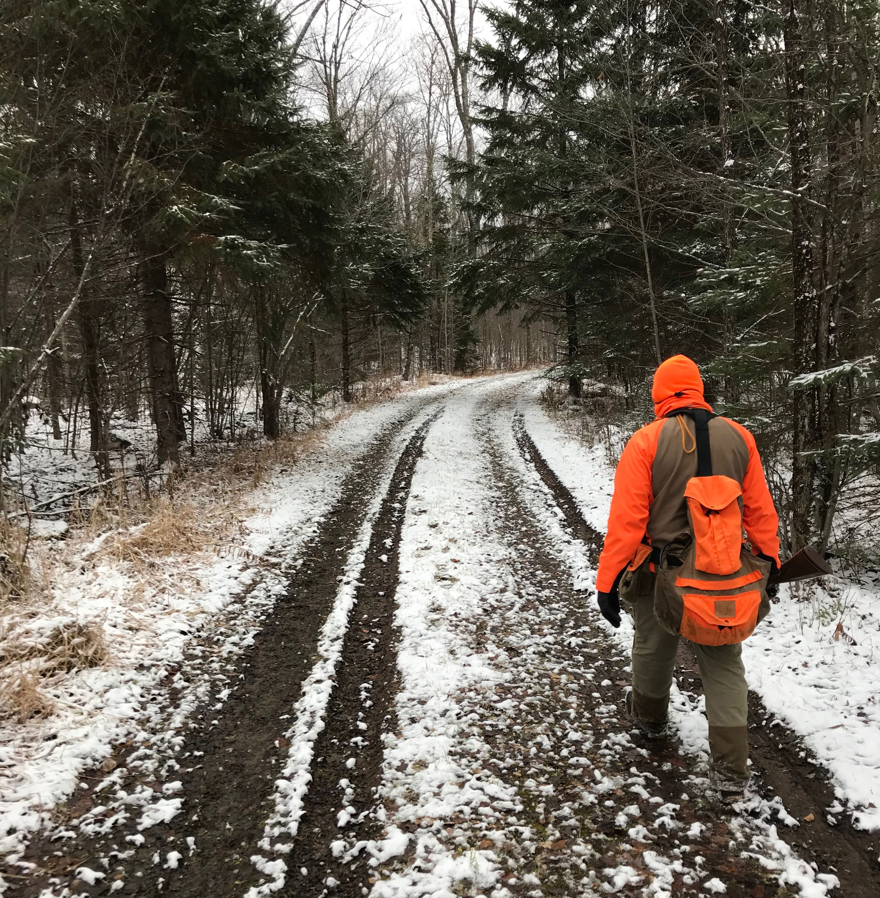 Upland bird hunting