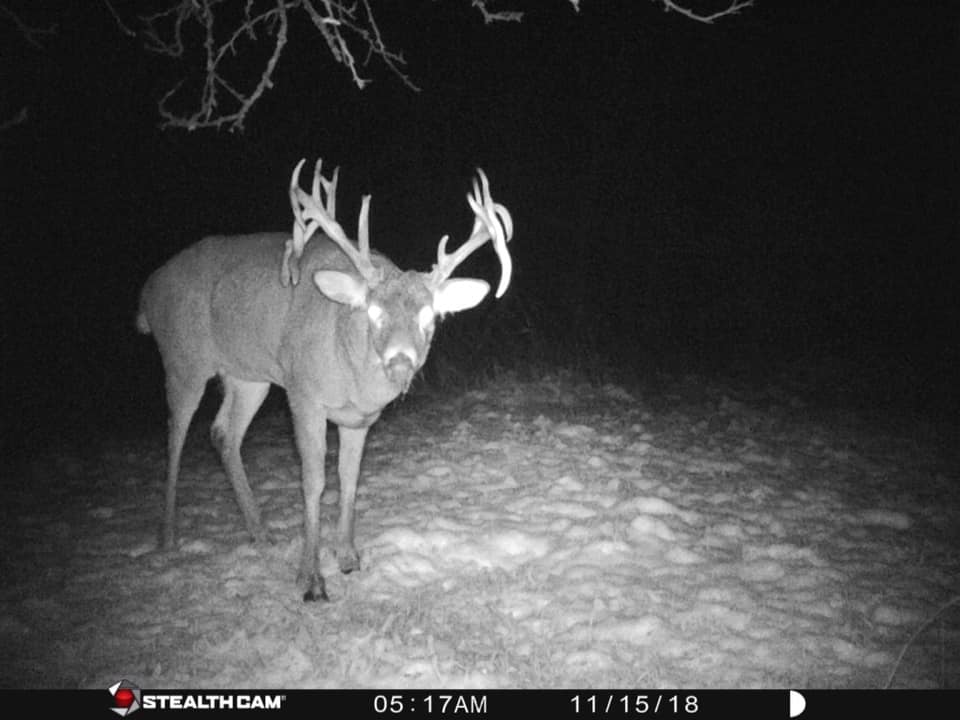 Trail Cam Tuesday