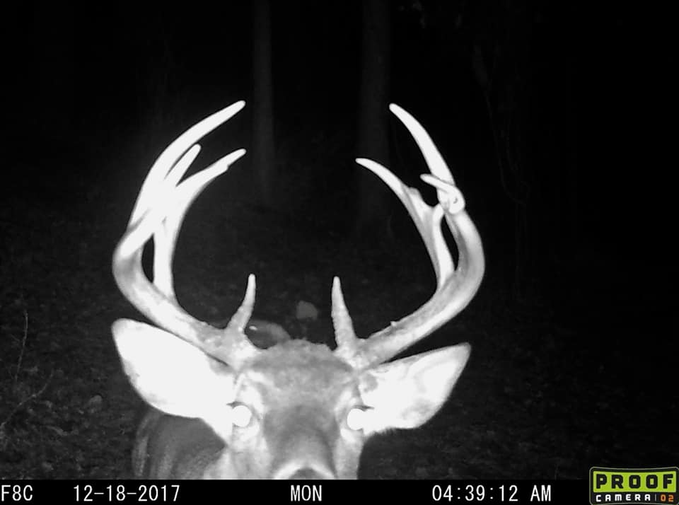 Trail Cam Tuesday