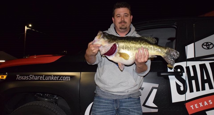 Two Texas Anglers Land Back-To-Back 13-Pound ShareLunker Bass - Wide ...
