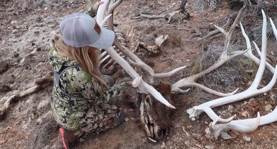elk sheds