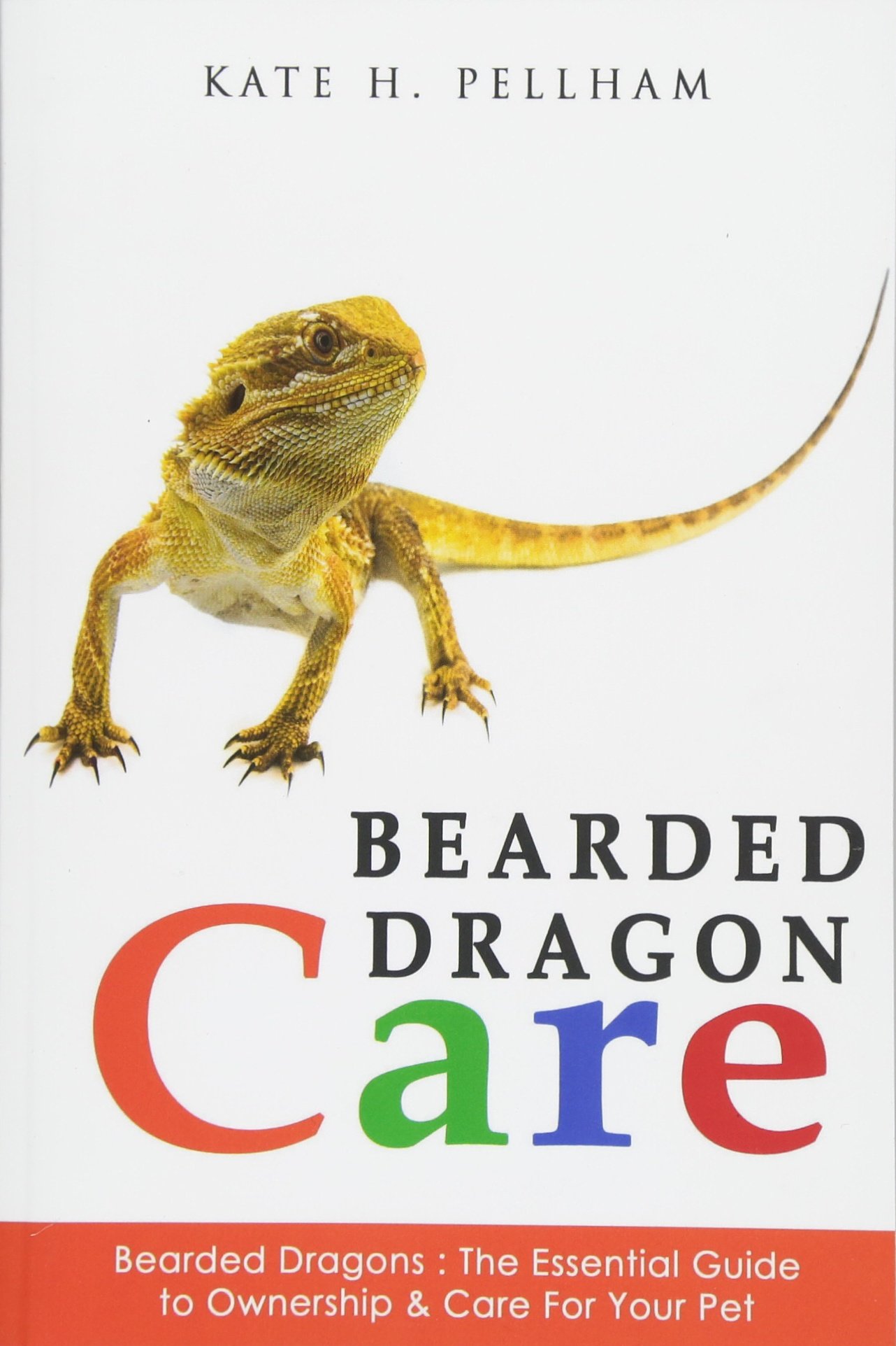 Bearded Dragon