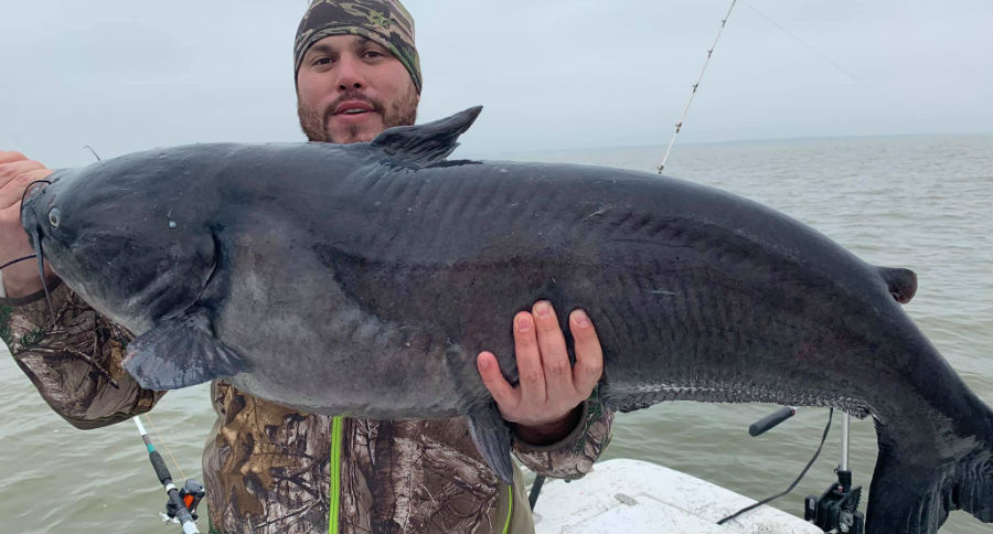 state record catfish