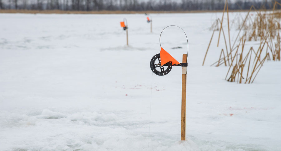ny angler cheats