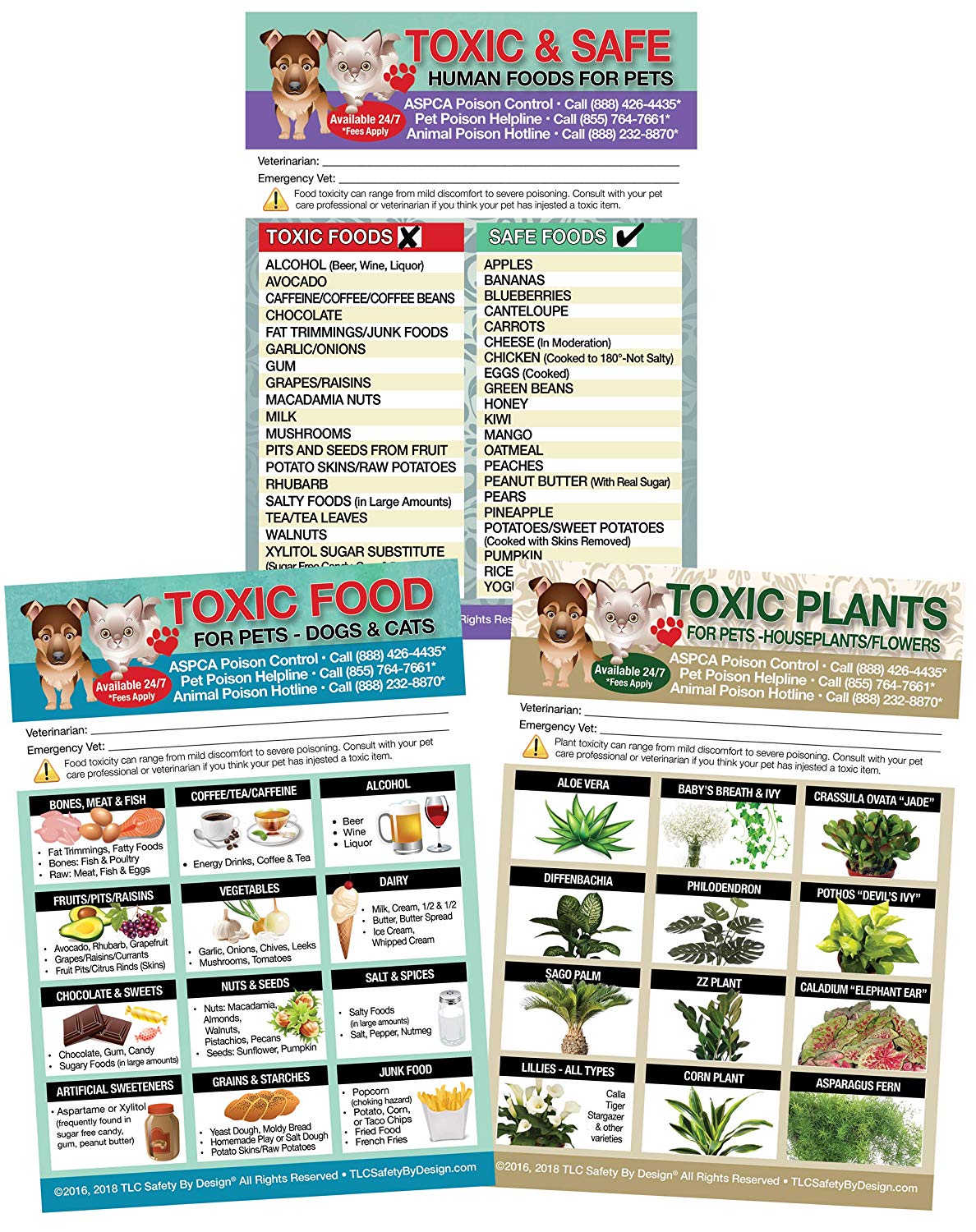 Toxic Foods Magnet