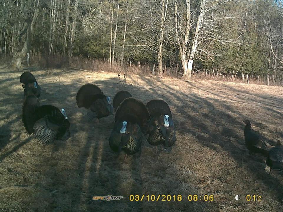 Trail Cam Tuesday