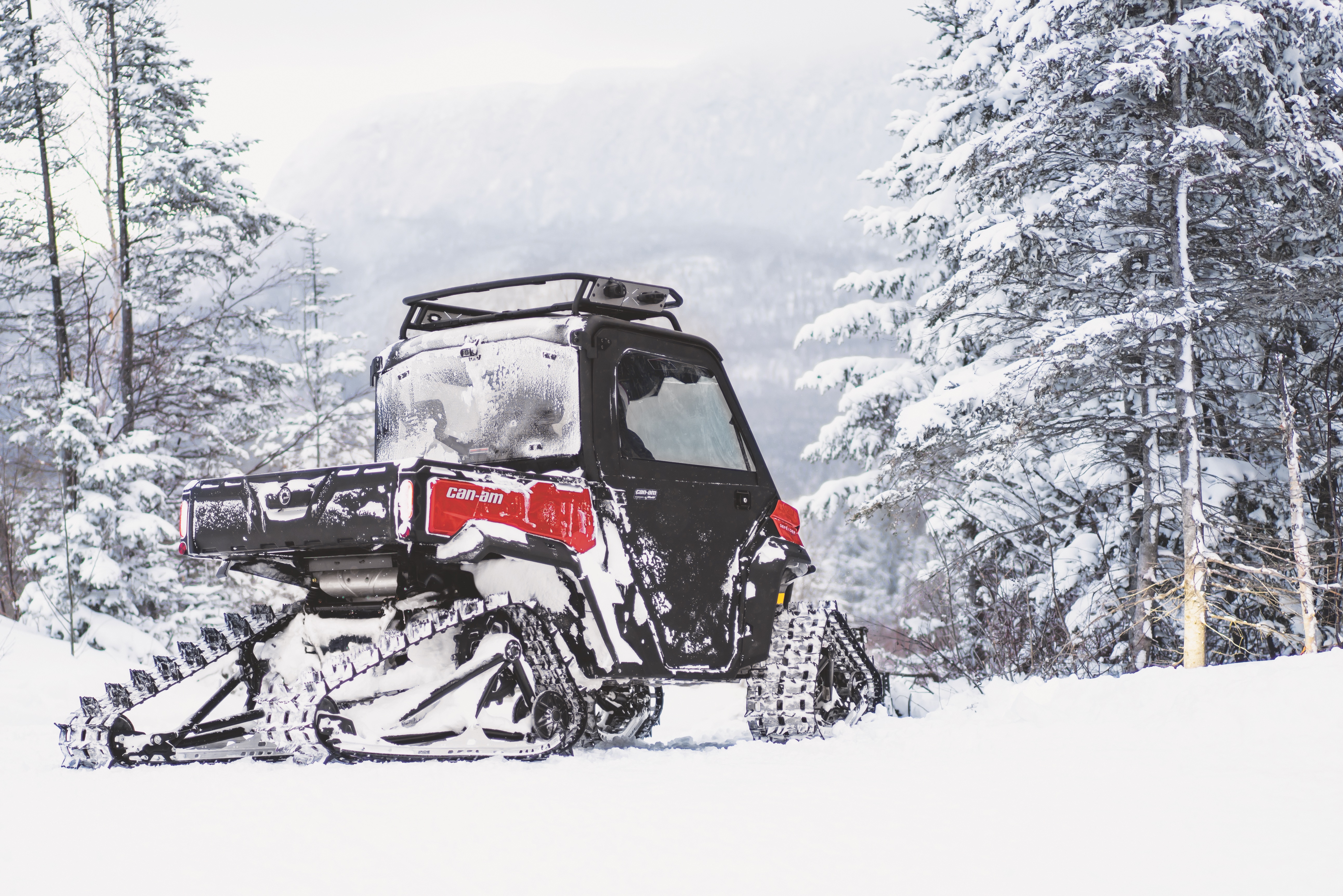 Can-Am Apache Backcountry LT