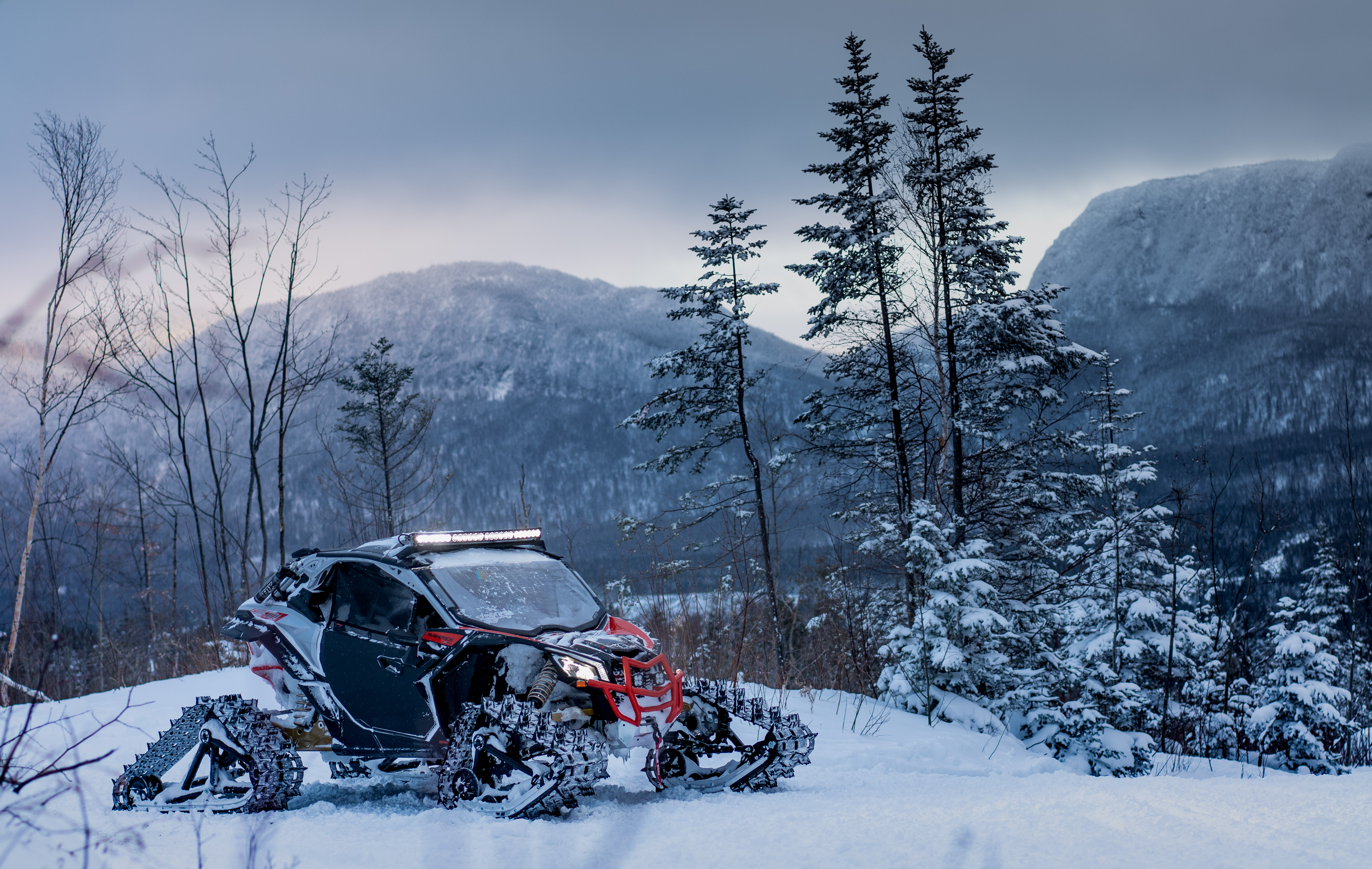 Can-Am Apache Backcountry