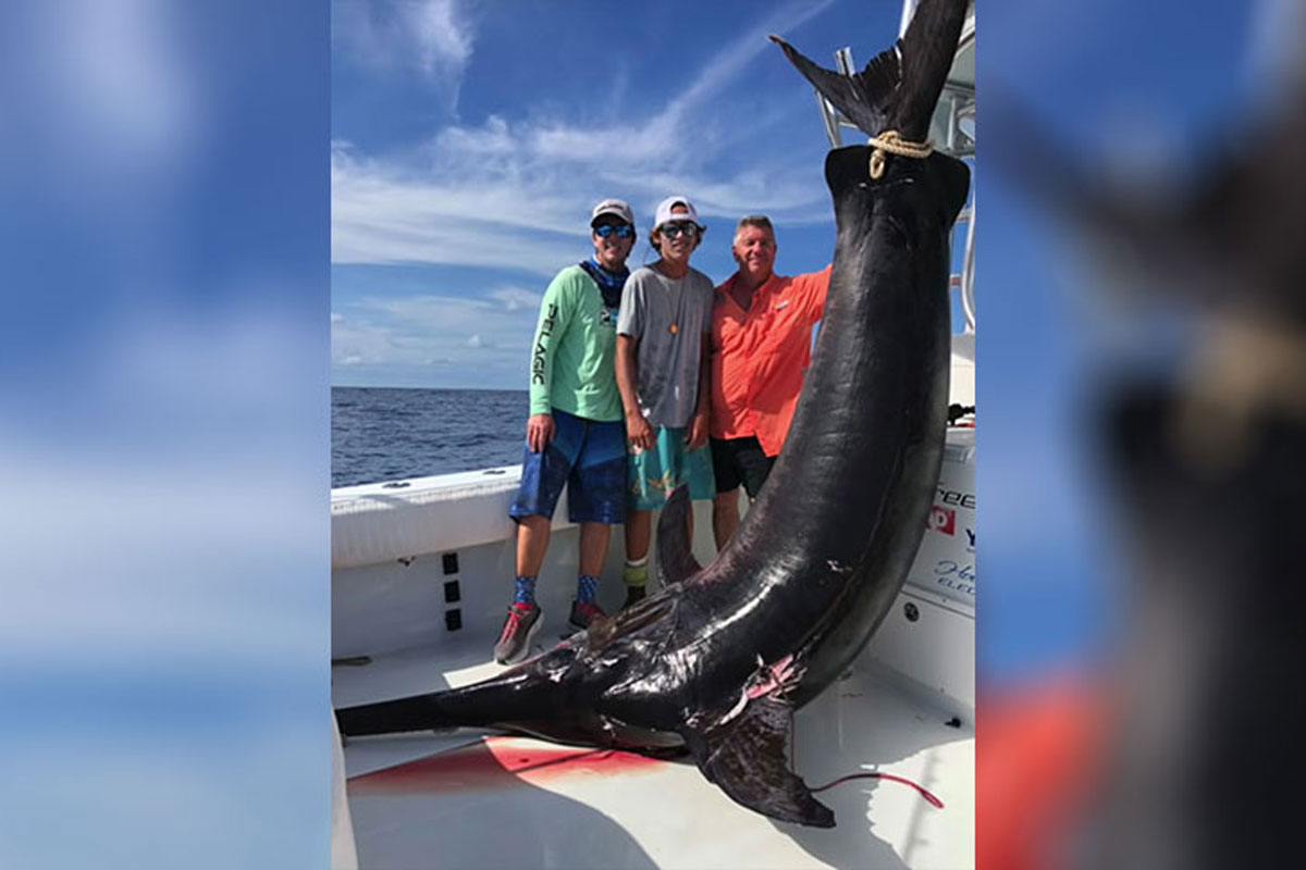 Angler Slices Open Swordfish Stomach, Pulls Out a Huge Squid Wide
