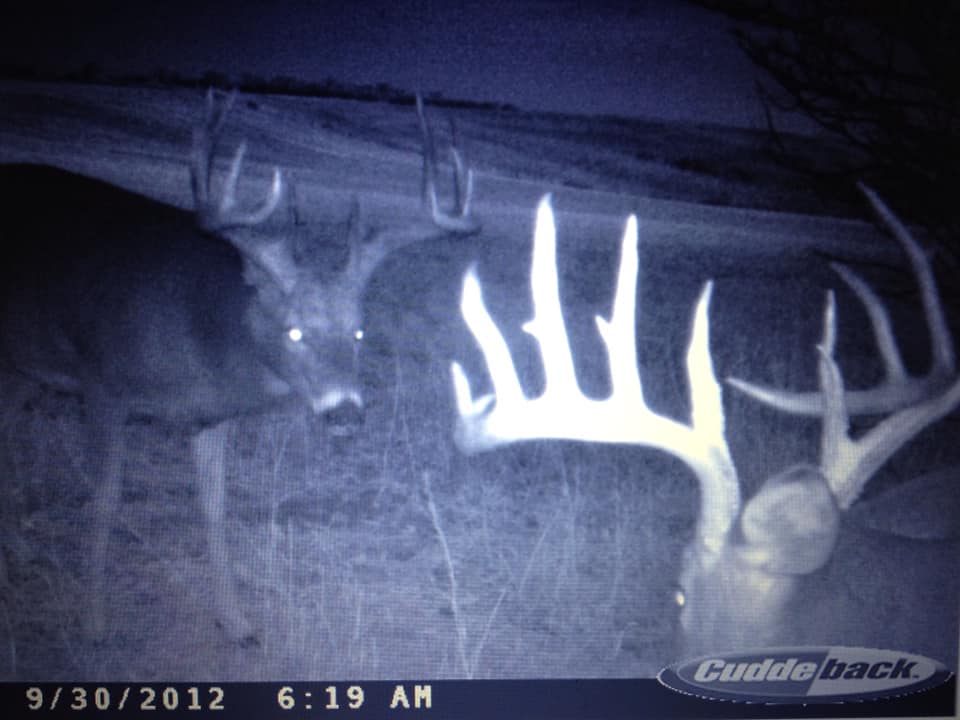 Trail Cam Tuesday