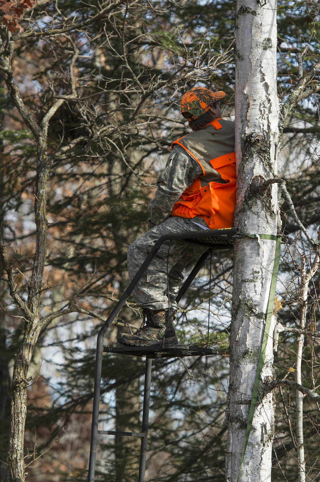 Saddle Vs. Treestand