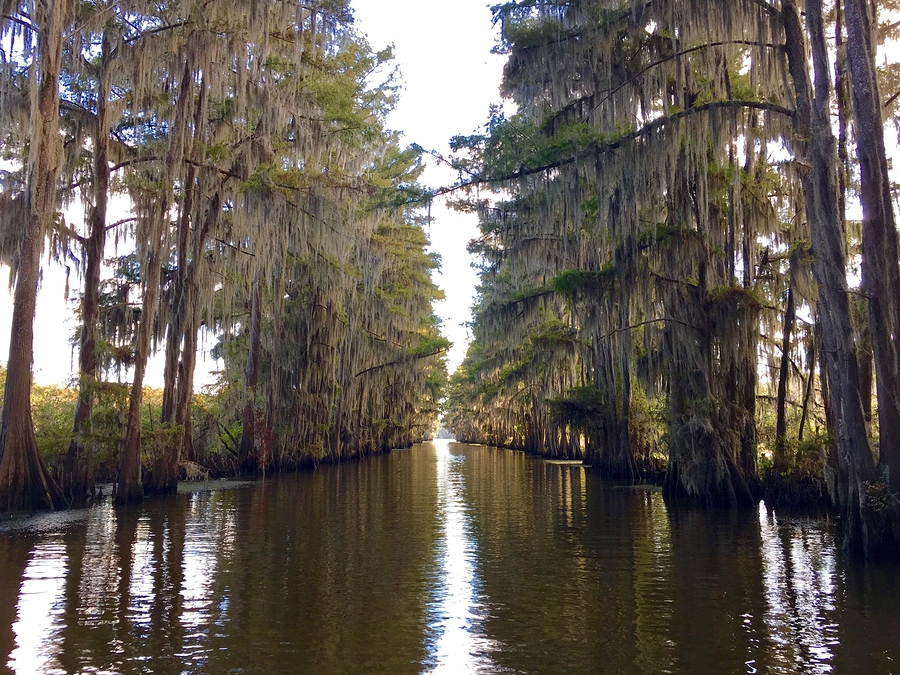 Caddo Lake