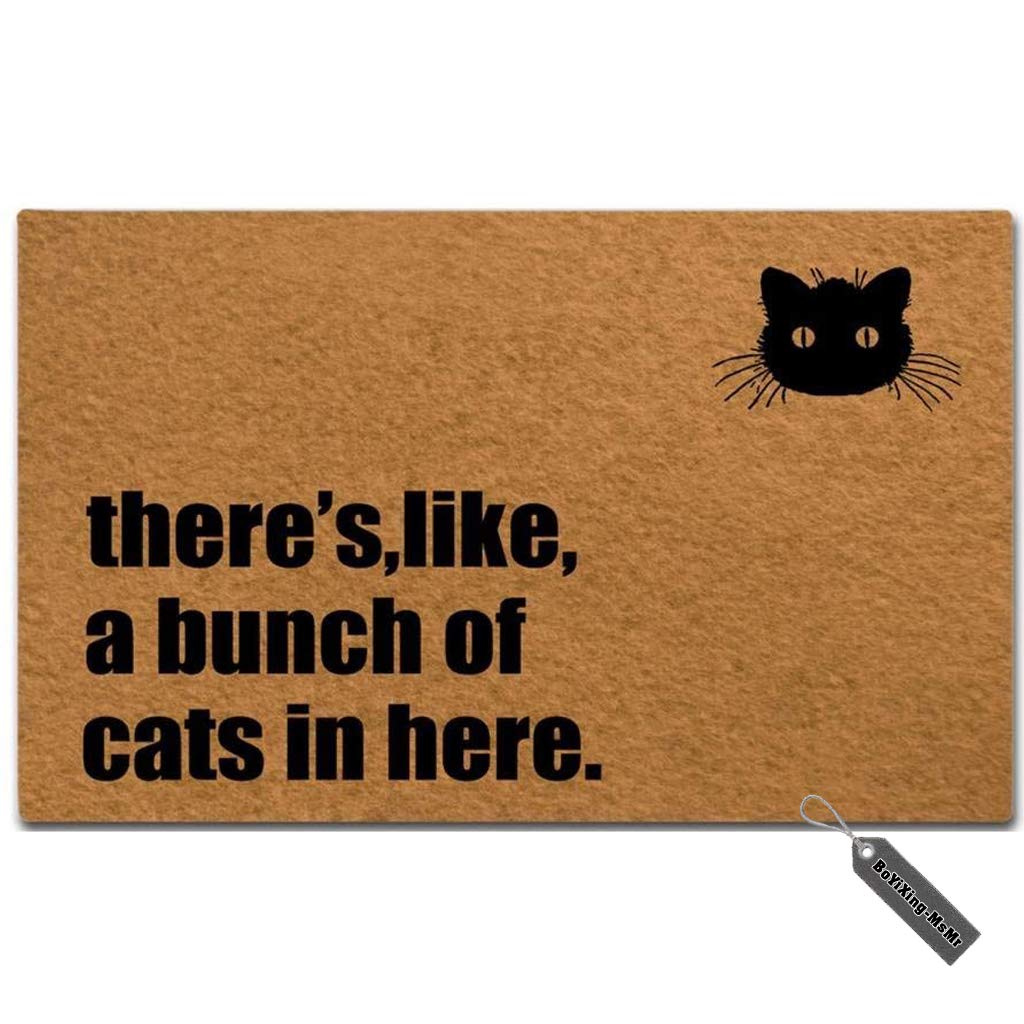 Cat Doormat