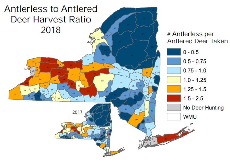 New York deer harvest