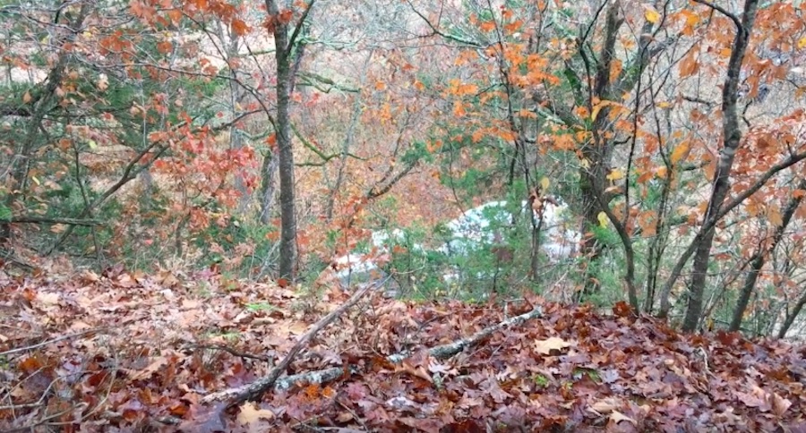 deer hunting gone wrong