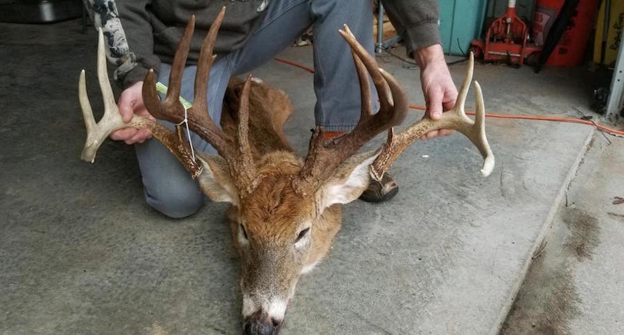 New York deer harvest