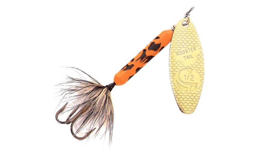 10 Best Trout Lures for American Rivers and Streams