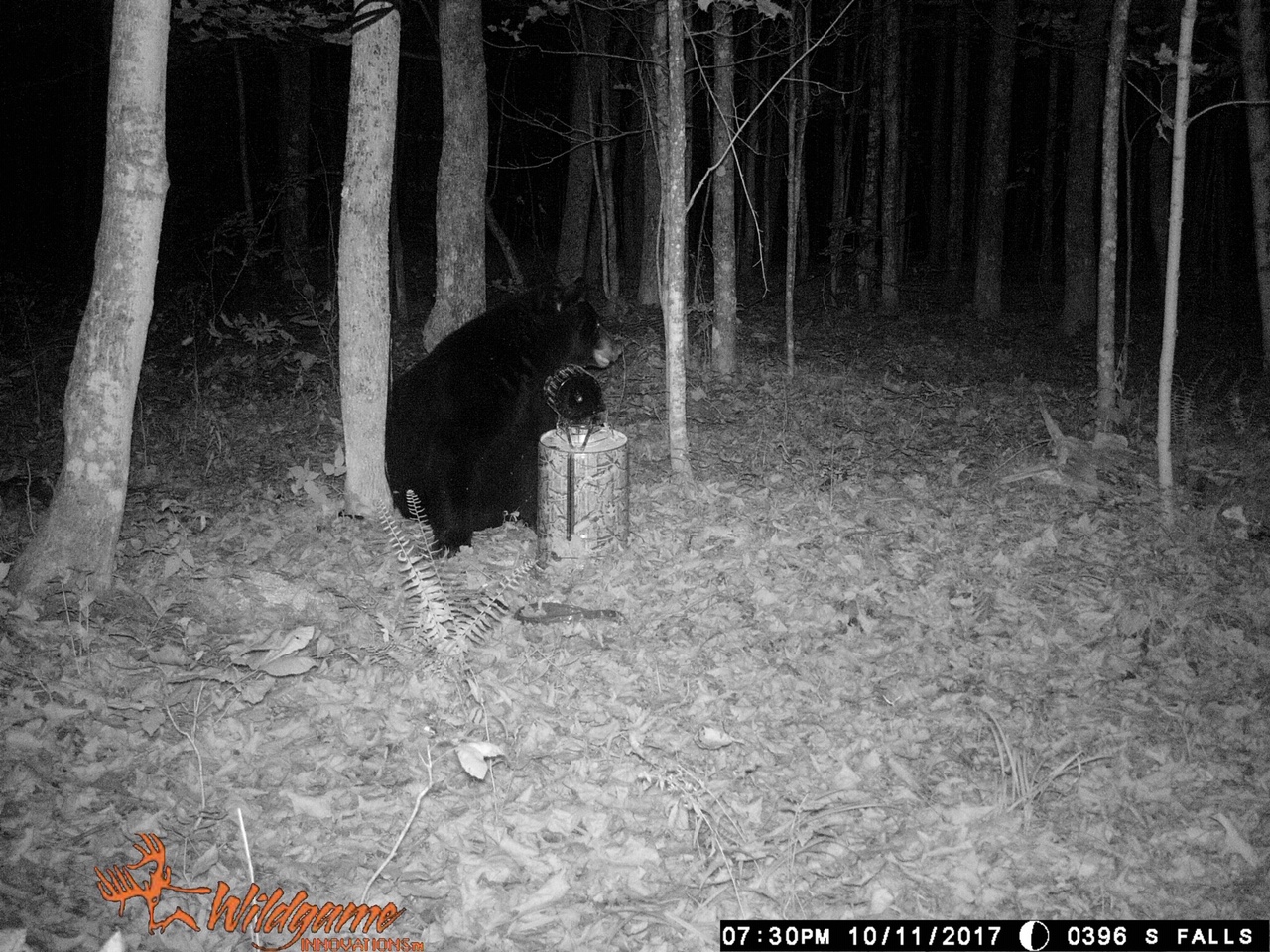 Trail Cam Tuesday