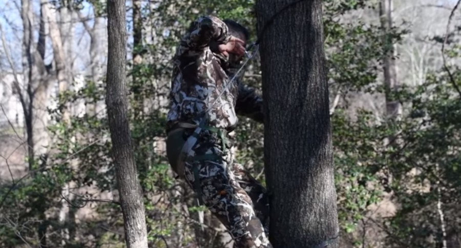 Saddle Vs. Treestand
