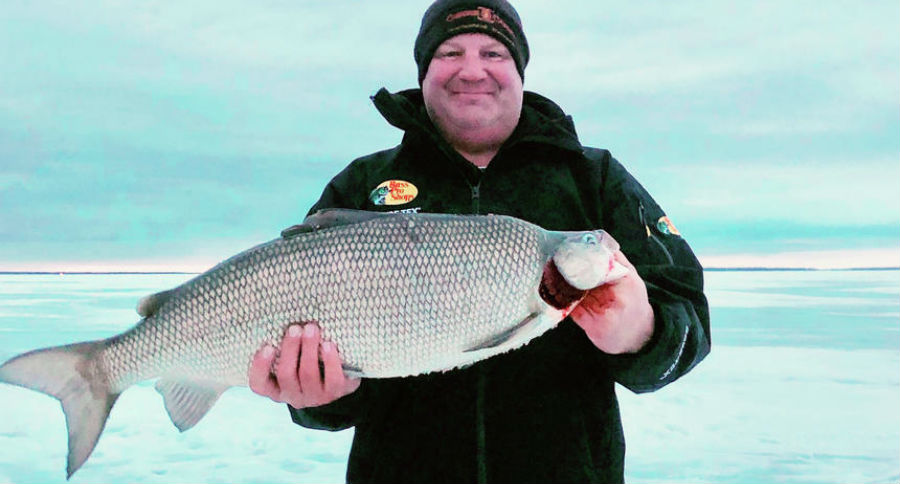 record whitefish