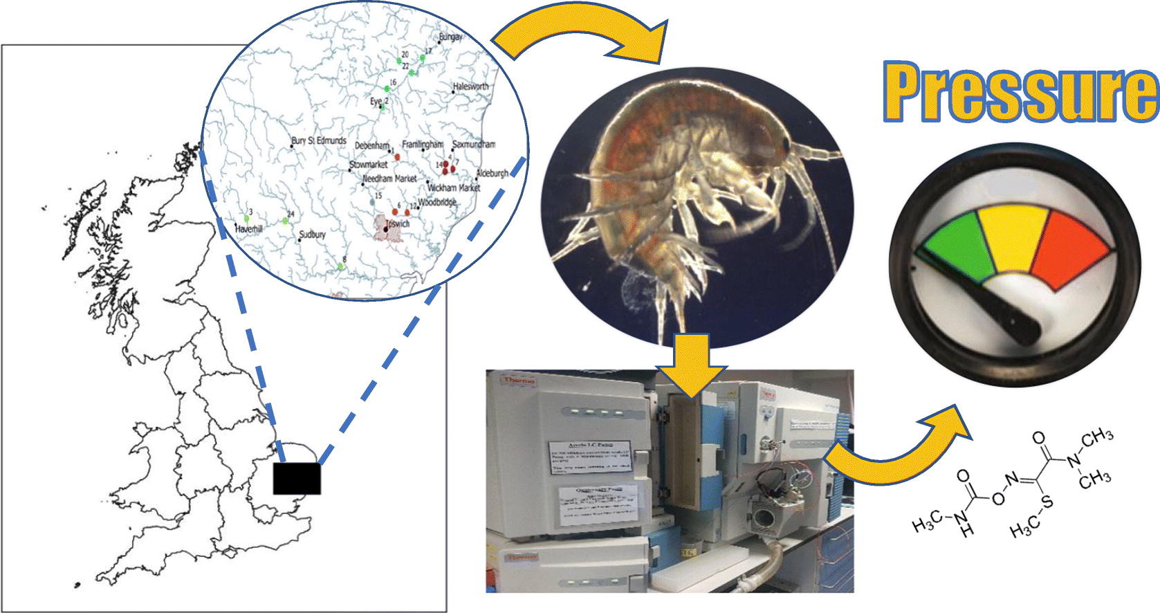 Shrimp Test Positive For Cocaine