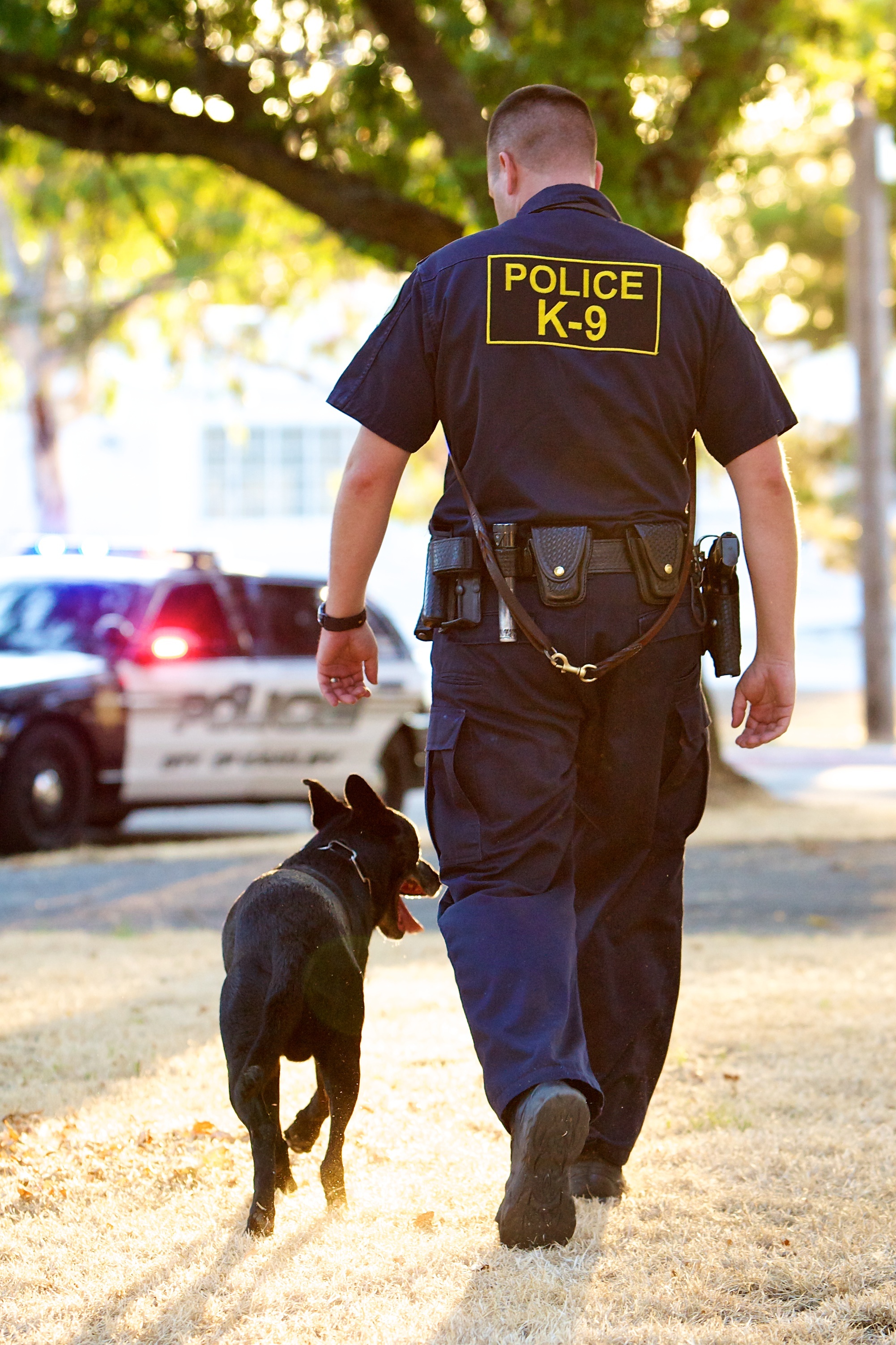 K9 Handler