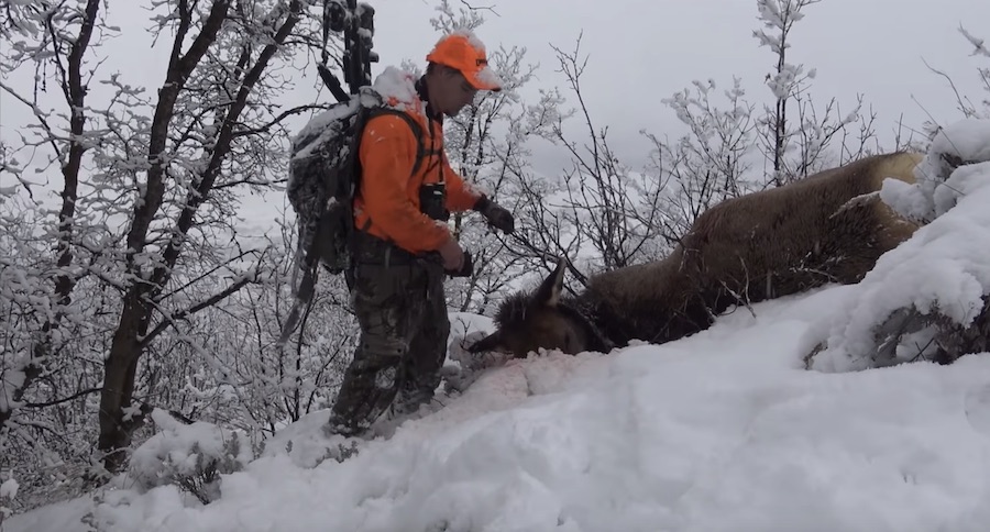 Elk Hunting With A .338 Lapua