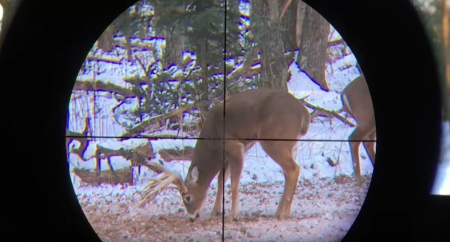 smartphone scope mount