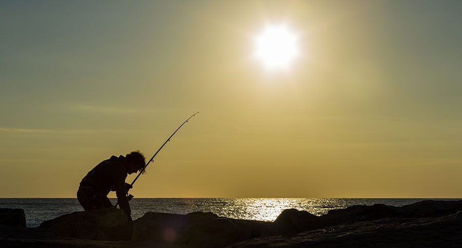 The Great Big Guide to Memorial Day Fishing Sales, Deals, and Discounts -  Wide Open Spaces