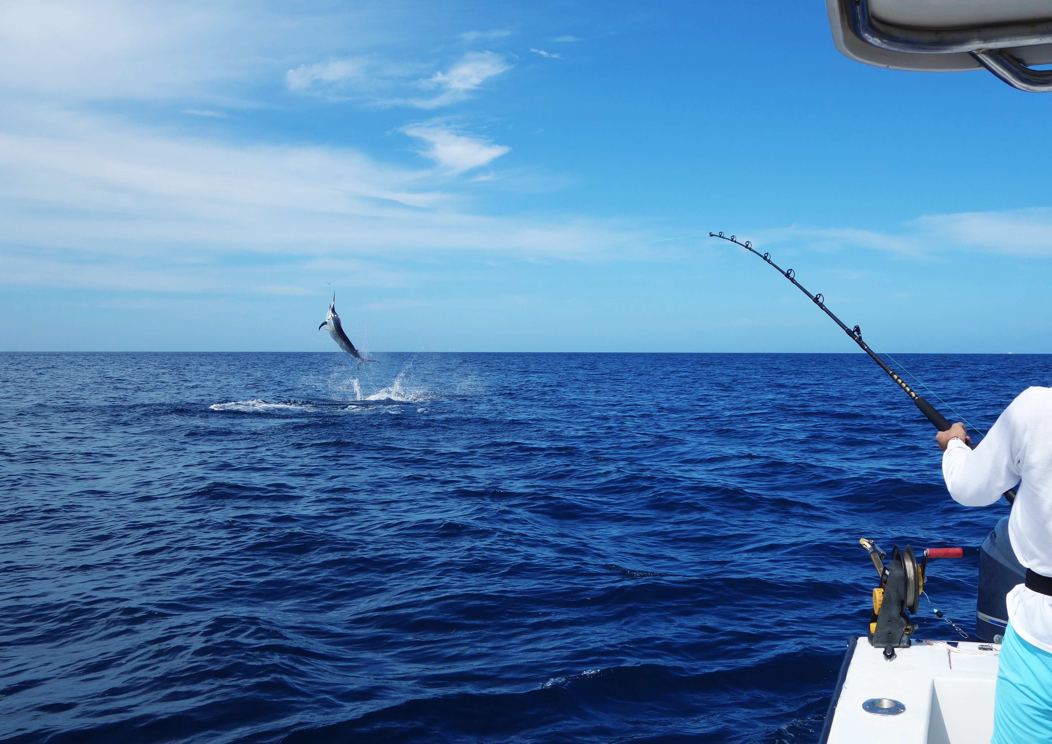 fishing for marlin