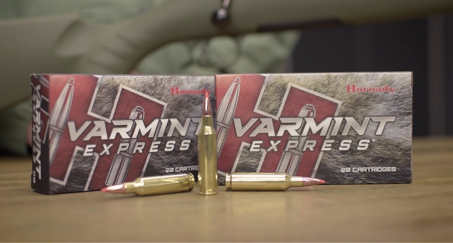What You Need to Know About Hornady Varmint Express Ammo