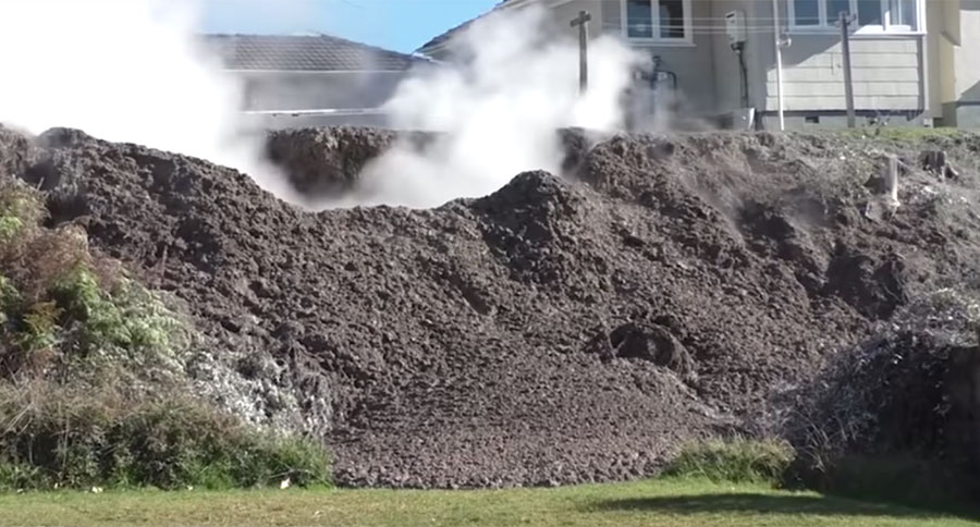 New Zealand Mud Pools