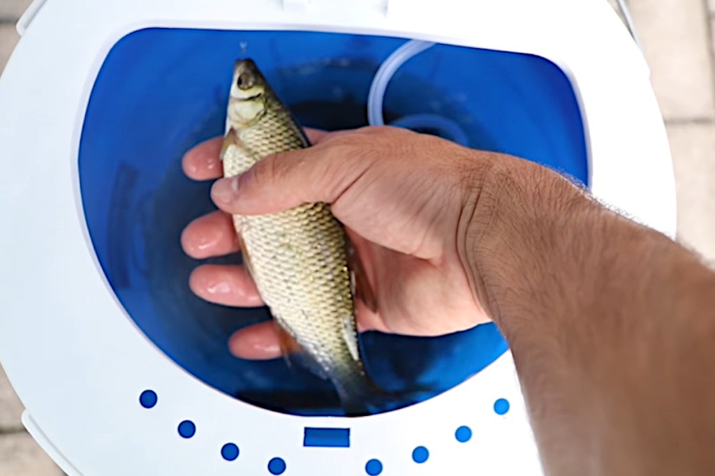 Live Bait Fishing From the Conventional to the NonConventional Wide