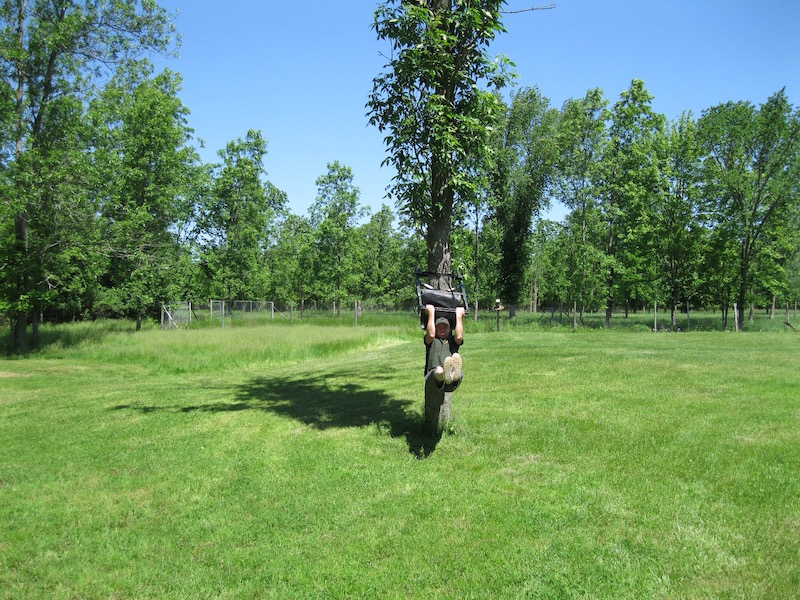 tree climbing stand