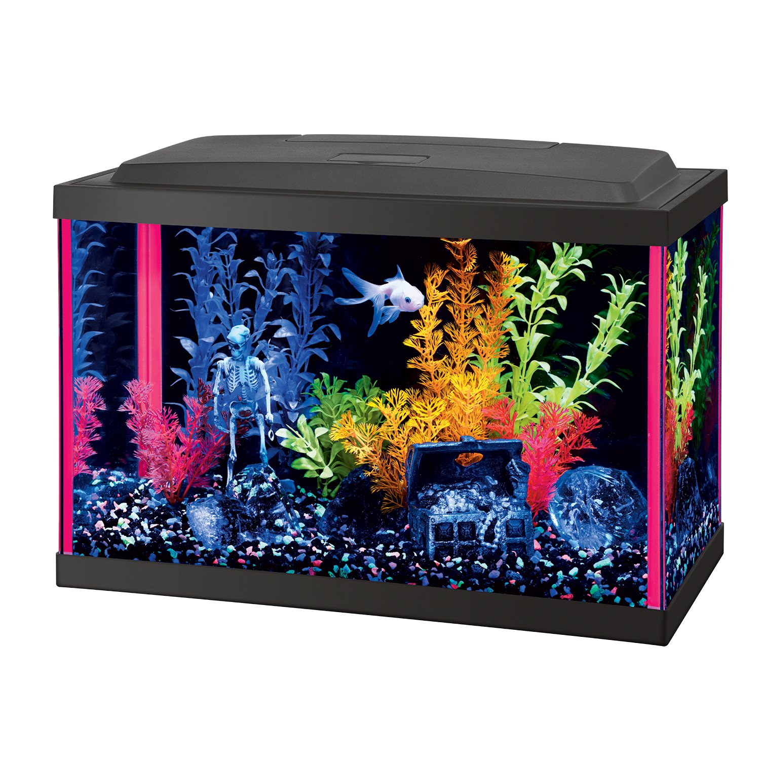 Aqueon Fish NeoGlow LED